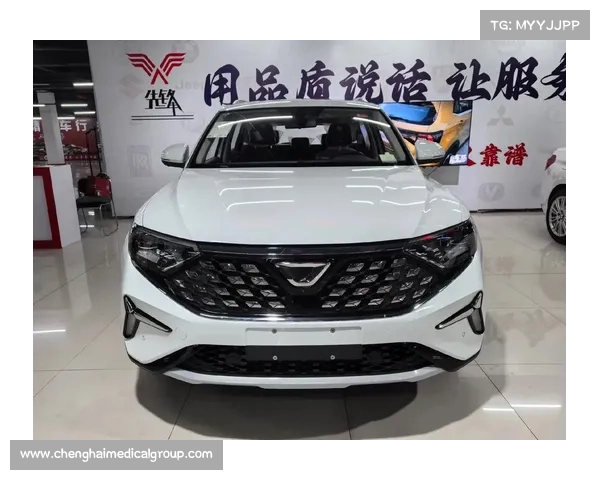 人生第一辆车选捷达VS7 人生第一辆车选捷达VS7