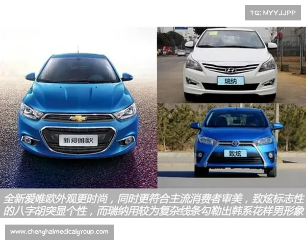 全新爱唯欧日韩比较当选外貌协会首选